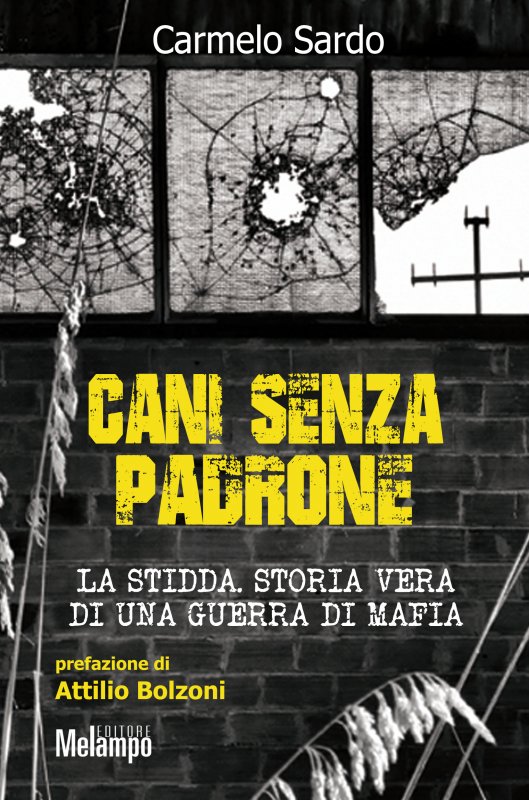 Cani senza padrone.