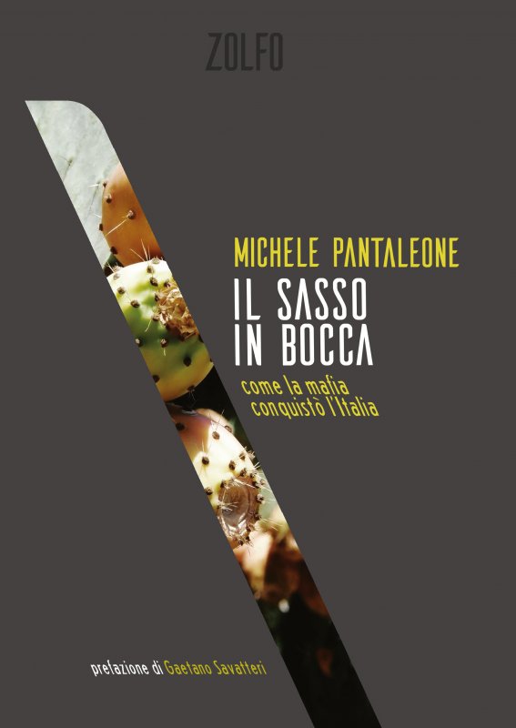Il sasso in bocca